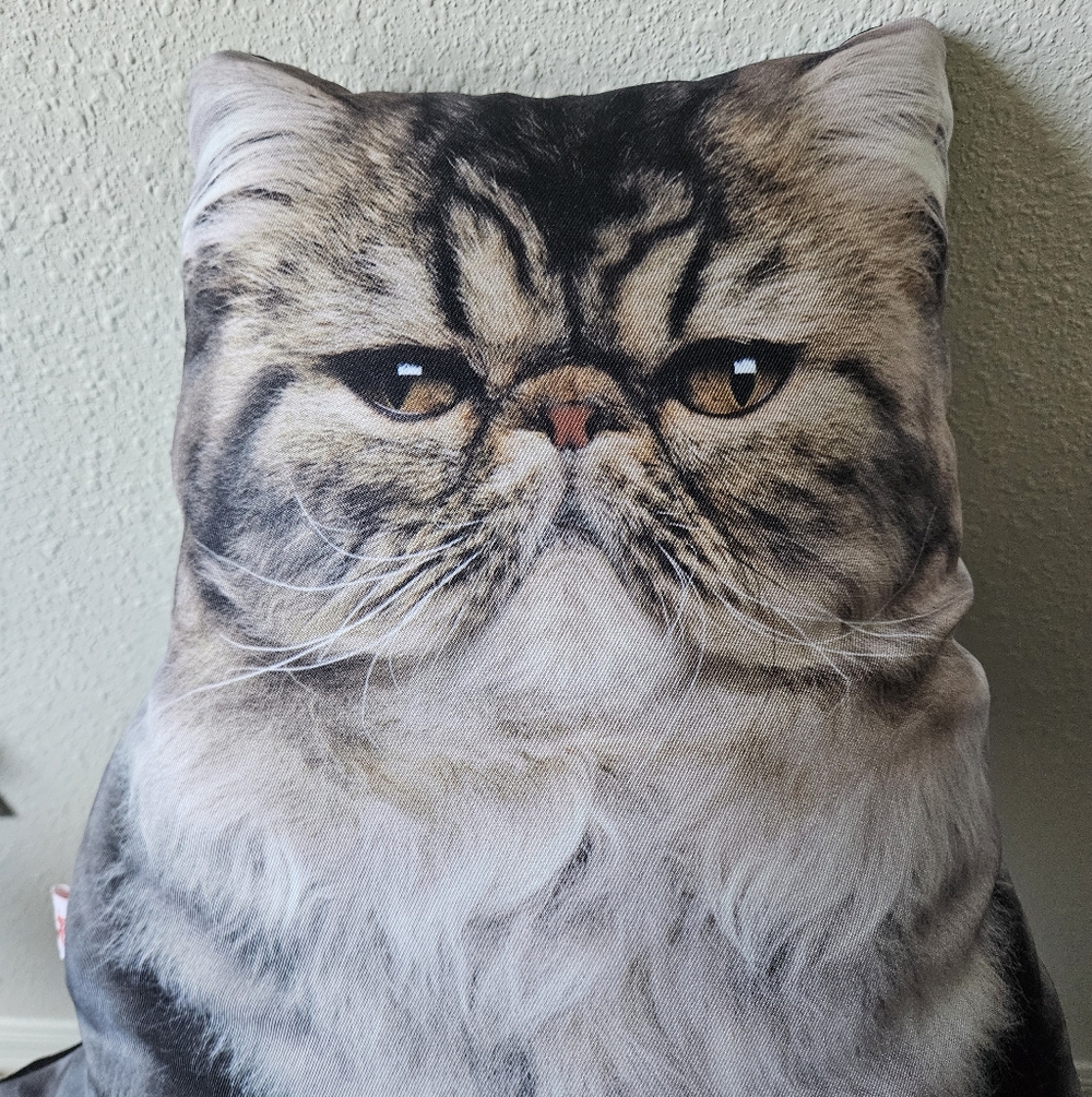 Grumpy Cat Pillow - Picture 3 of 4